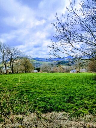  Terrain à vendre 7051 m²