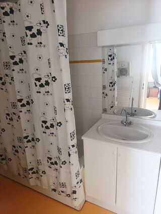  Appartement à louer 1 pièce 19 m²