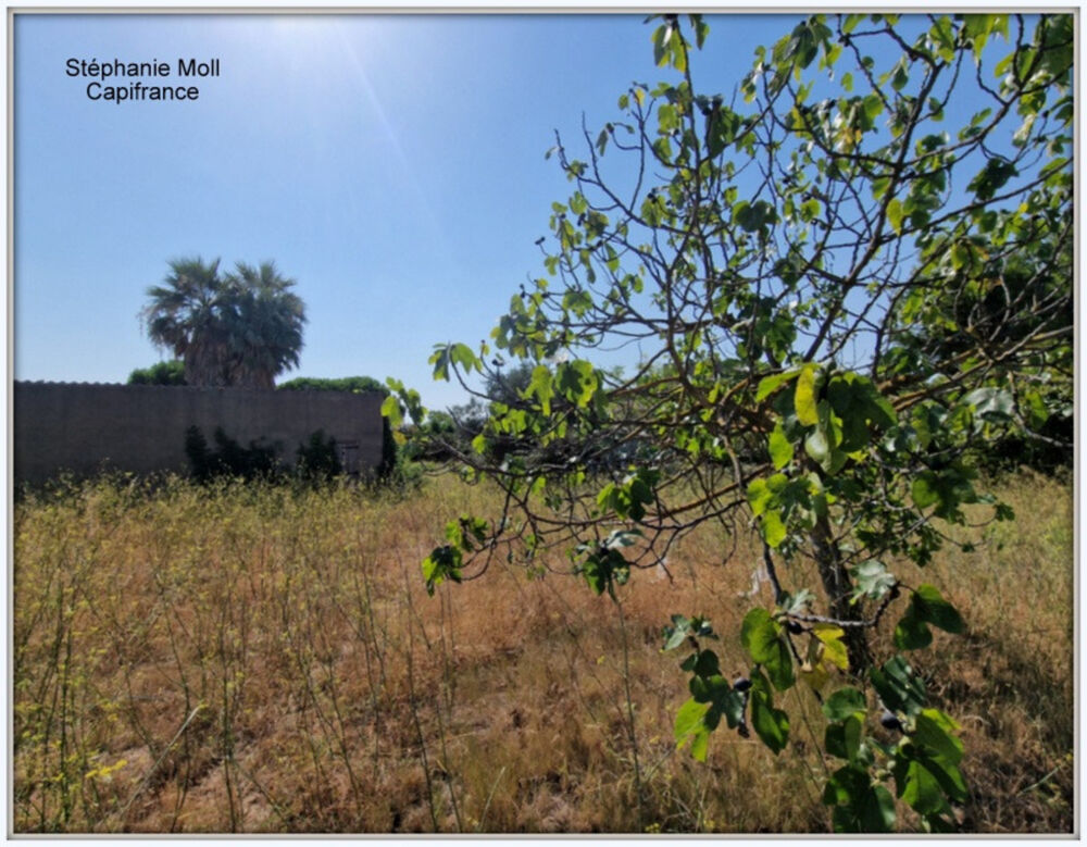 Vente Terrain Terrain à vendre de 2 958,00 m² NARBONNE (11) Narbonne