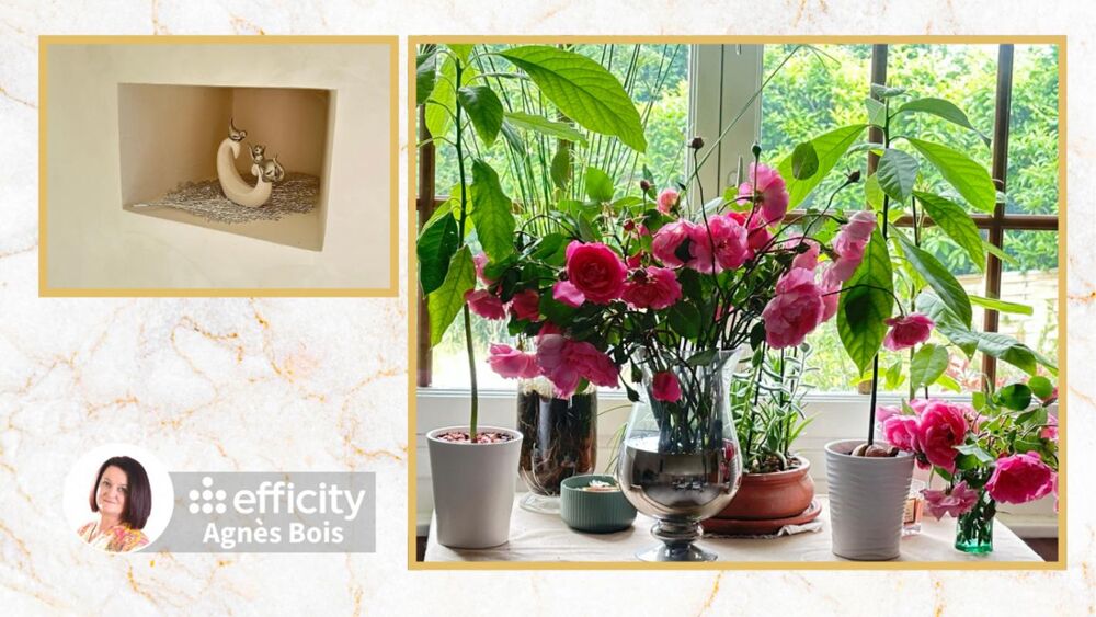  vendre  Maison Fillinges (74250)