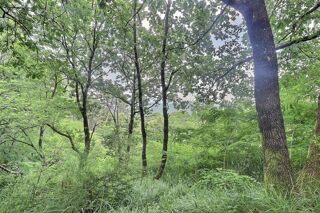  Terrain � vendre 978 m�