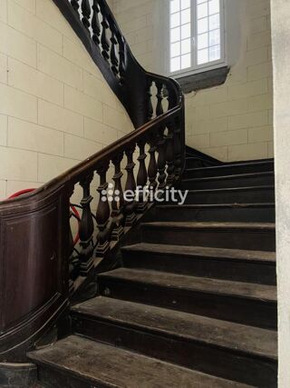  Hôtel Particulier à vendre 12 pièces 495 m²