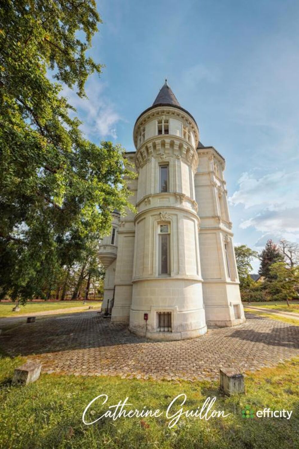 à vendre  Propriété/château Ingrandes (86220)
