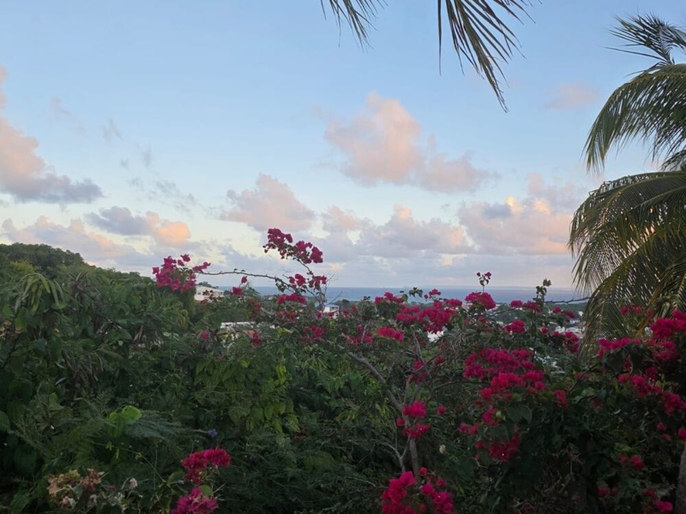 � vendre  Villa Le Gosier (97190)