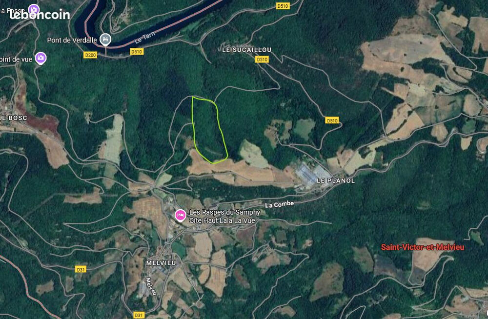 Vente Terrain Domaine forestier de 4,3 hectares - Bois de châtaigniers et chênes à Saint-Victor-et-Melvieu Saint victor et melvieu