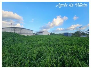  Terrain à vendre 1006 m²