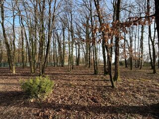  Terrain à vendre 2000 m²