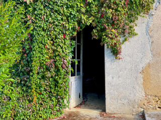  Propri�t�/ch�teau � vendre 9 pi�ces 315 m�