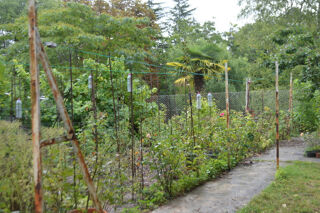  Maison � vendre 4 pi�ces 96 m�