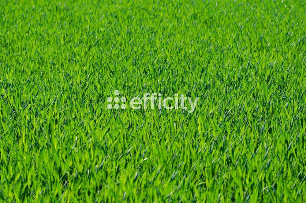 Vente Terrain Terrain Scientrier