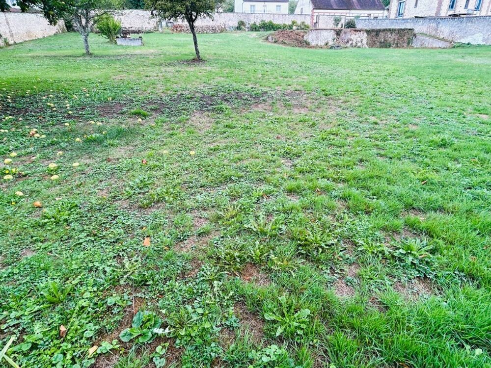 Vente Terrain ? Rare à Bléneau (89220) : Magnifique terrain à bâtir de 2400 m² avec dépendance de charme Bleneau