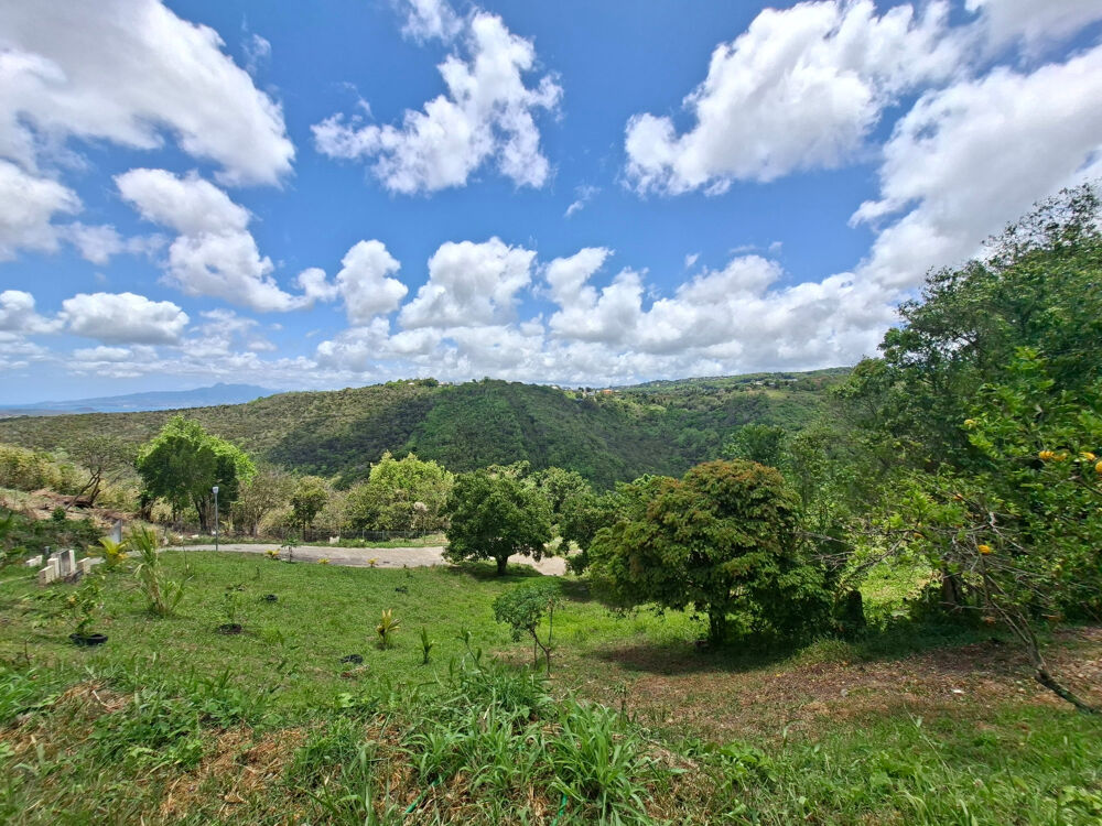 Vente Terrain Terrain à vendre  SAINTE LUCE (972) Sainte luce