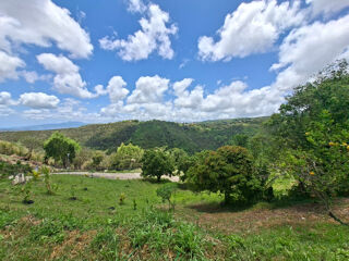  Terrain à vendre 626 m²