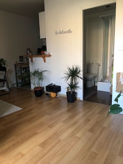  Appartement � louer 1 pi�ce 24 m�