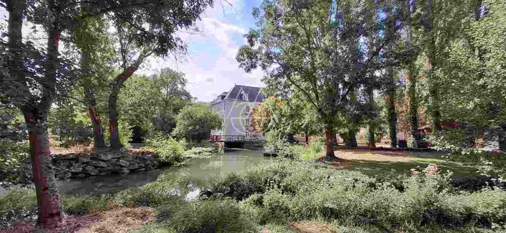 à vendre  Propriété/château Vernou-sur-Brenne (37210)