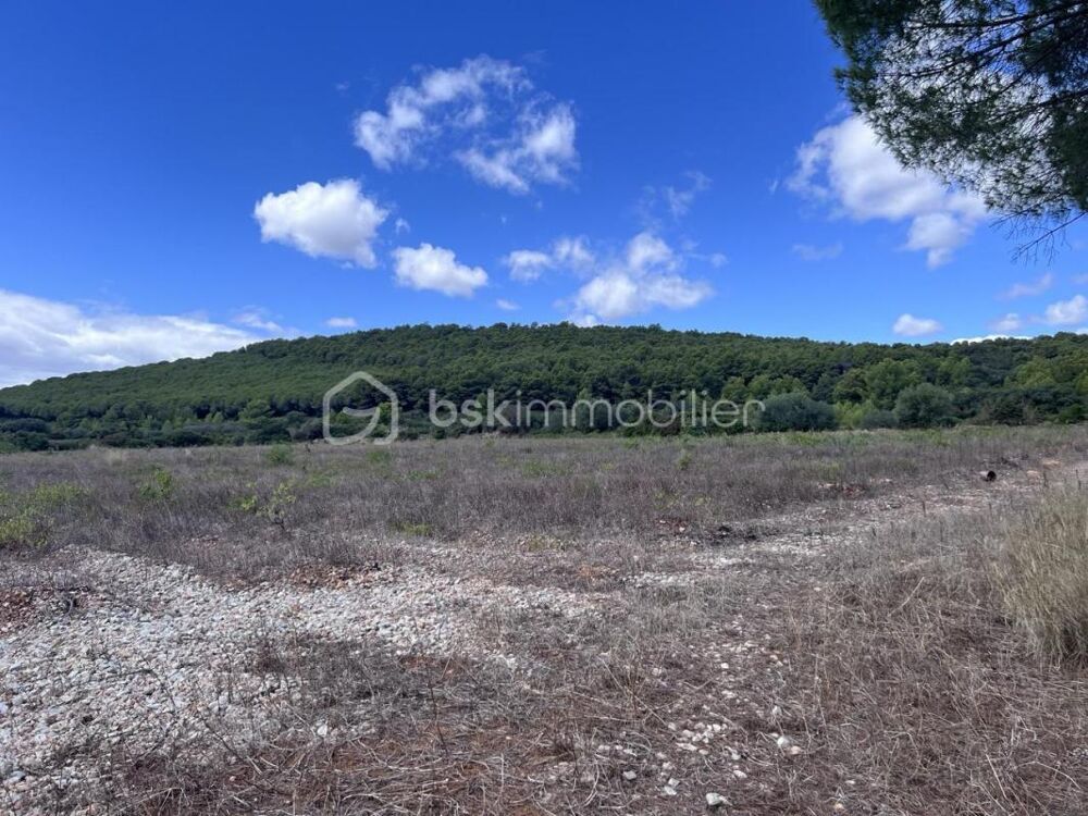 Vente Terrain Terrain de loisirs 1,6 Ha avec partie boisée Frontignan