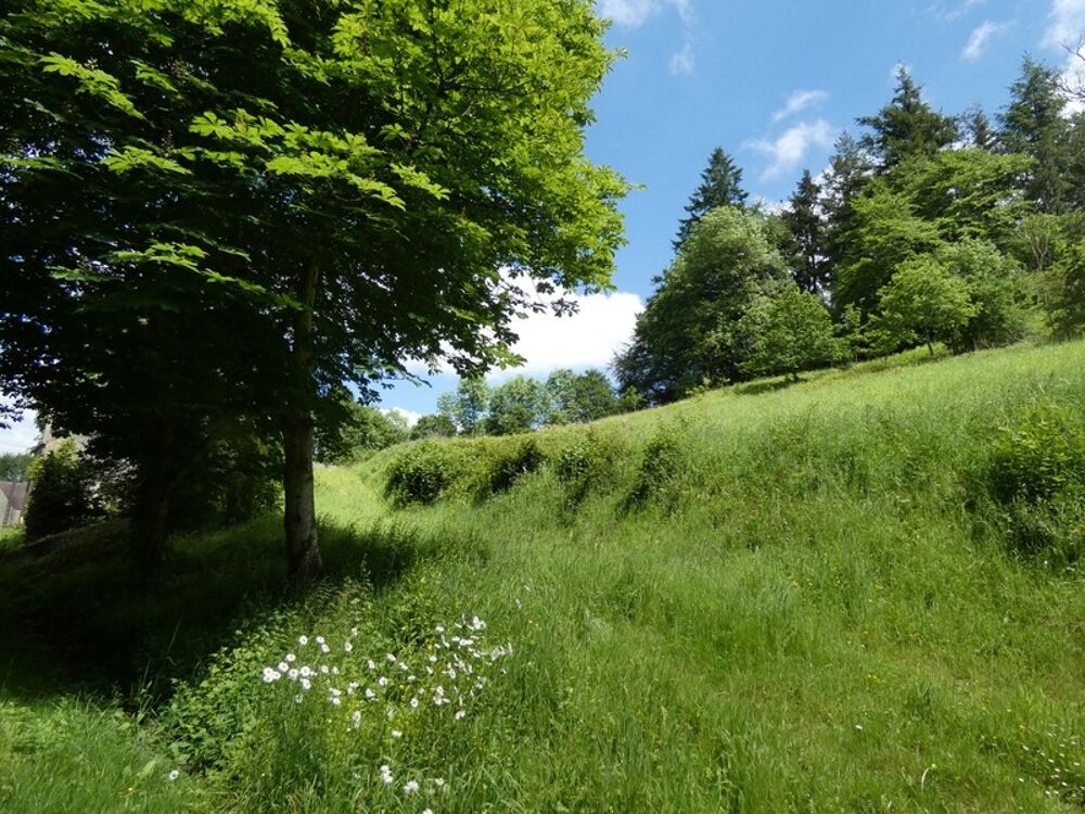 proche de ARGENTAN (61) propriété de 9078 m² de terrain