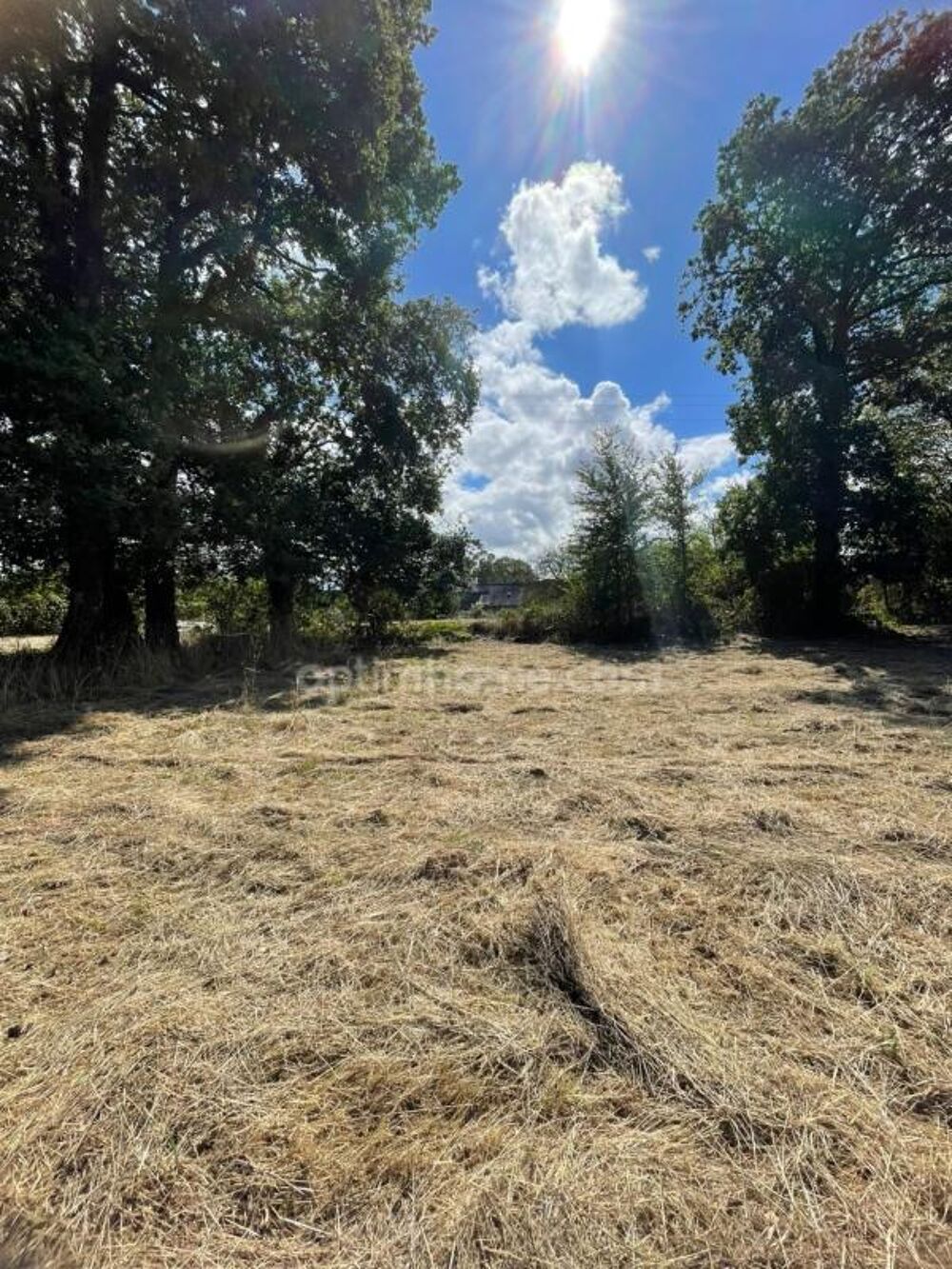 Vente Terrain Terrain constructible 1 498 m² au calme - Libre de constructeur (Ploërmel) Ploermel