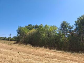  Terrain à vendre 12431 m²