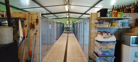   21000 DIJON 40 MINUTES - Fonds de commerce + Murs PENSION CANINE 123 M² en parfait état sur terrain 1 hectare 