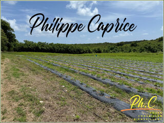  Terrain � vendre 2000 m�