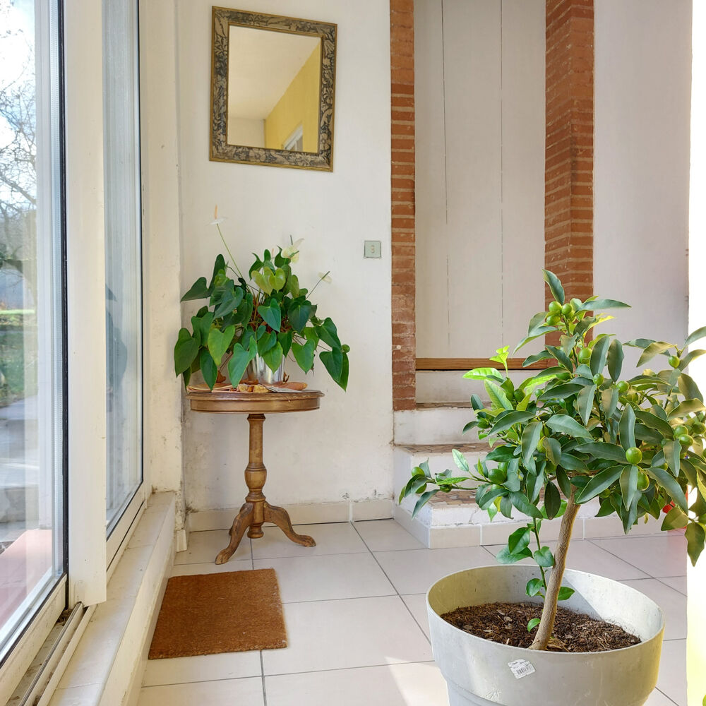 Maison à vendre 7 pièces MONTAUBAN (82) avec hangar de 150m², 6861m² de terrain avec une partie boisée