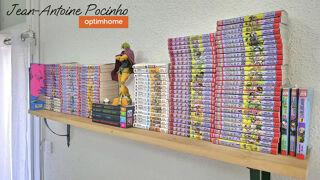  Duplex/triplex  vendre 2 pices 34 m