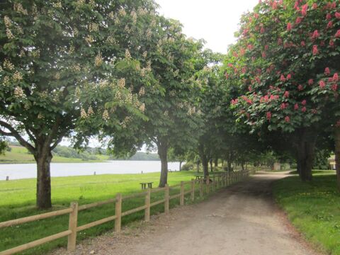  Maison � louer 3 pi�ces 40 m�