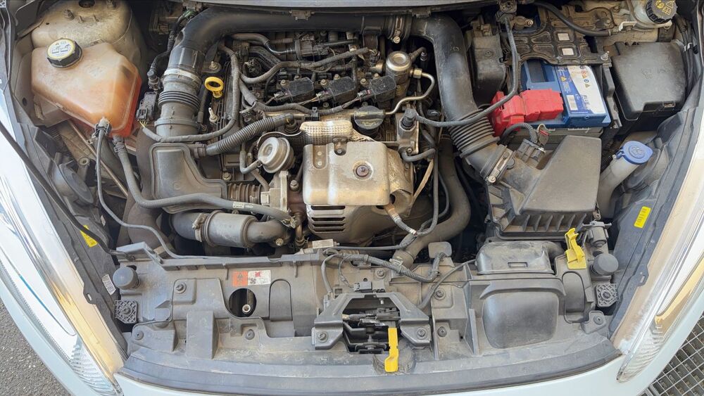 Fiesta 1.0 EcoBoost 125 Titanium 2015 occasion 69270 Rochetaillee Sur Saone
