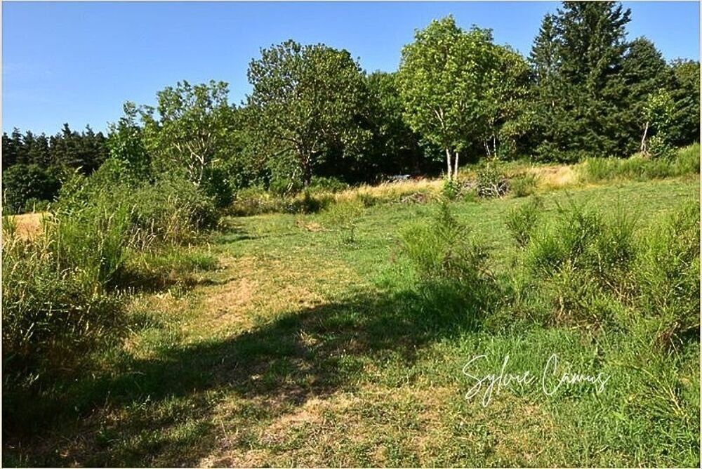 Vente Terrain Terrain à vendre de 1 300,00 m² SAINT PAL DE MONS (43) Saint pal de mons