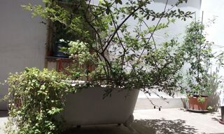  Appartement à louer 1 pièce 28 m²