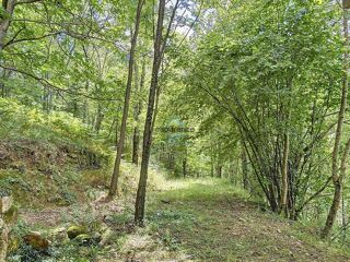  Propri�t�/ch�teau � vendre 4 pi�ces 145 m�