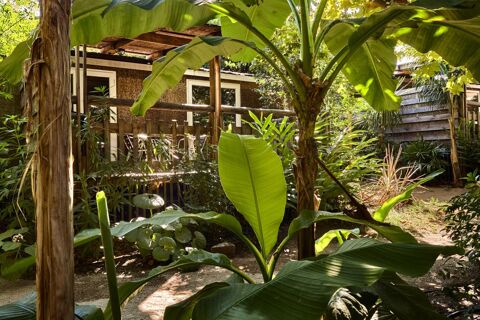  Appartement � louer 3 pi�ces 33 m�