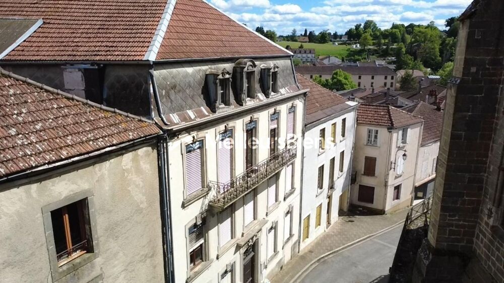 Vente Immeuble Investissement locatif avec locataires Bourbonne les bains