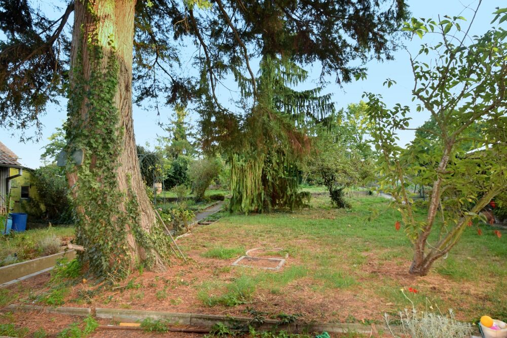 Maison à vendre 8 pièces ENSISHEIM (68)