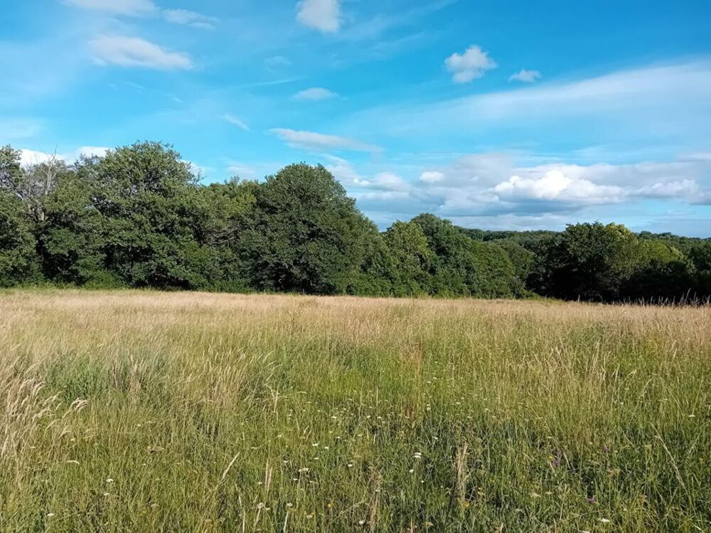 Vente Maison Maison terrain 3Ha permis de construire Beauregard