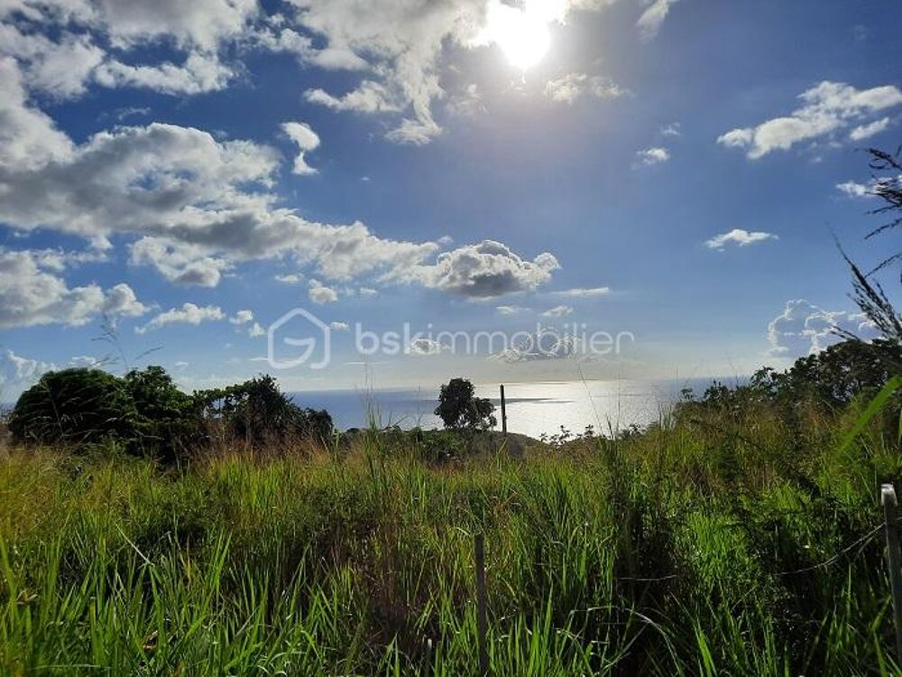 Vente Terrain Découvrez votre futur projet de vie en plein cœur des Caraïbes ! Vieux habitants