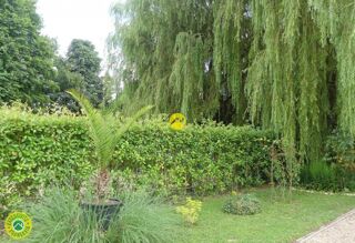  Terrain � vendre 530 m�