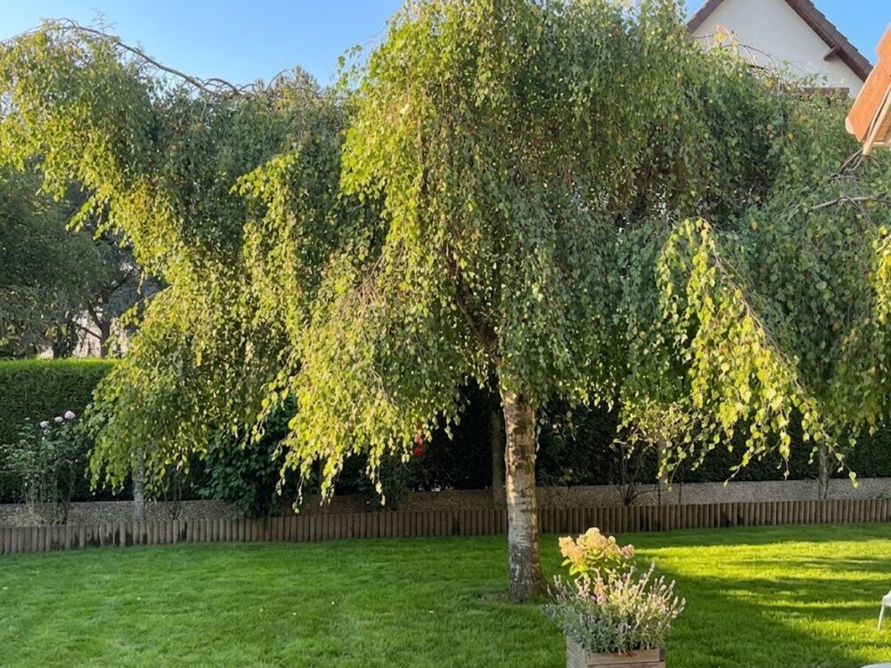 Vente Maison Maison à vendre 5 pièces – 105 m² – Jardin 900 m² – Mouen (14 790) Mouen