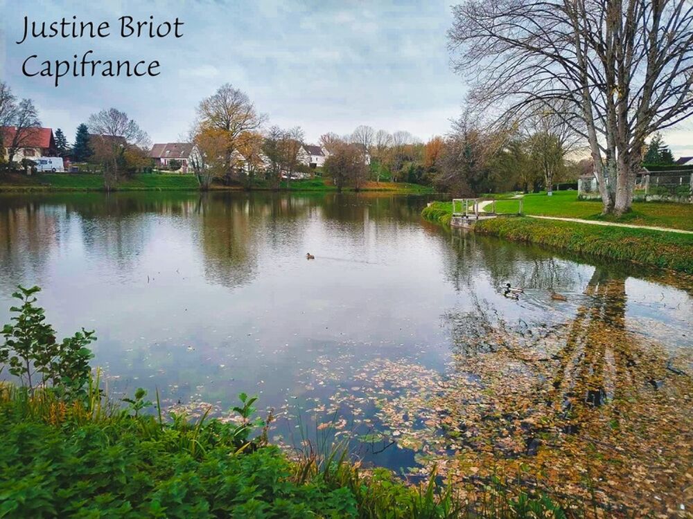 Vente Maison Pavillon familial avec jardin et acc�s direct au lac � Cours-les-Barres Cours les barres