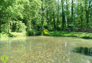  Terrain  vendre 4415 m