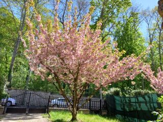  Maison � vendre 4 pi�ces 86 m�