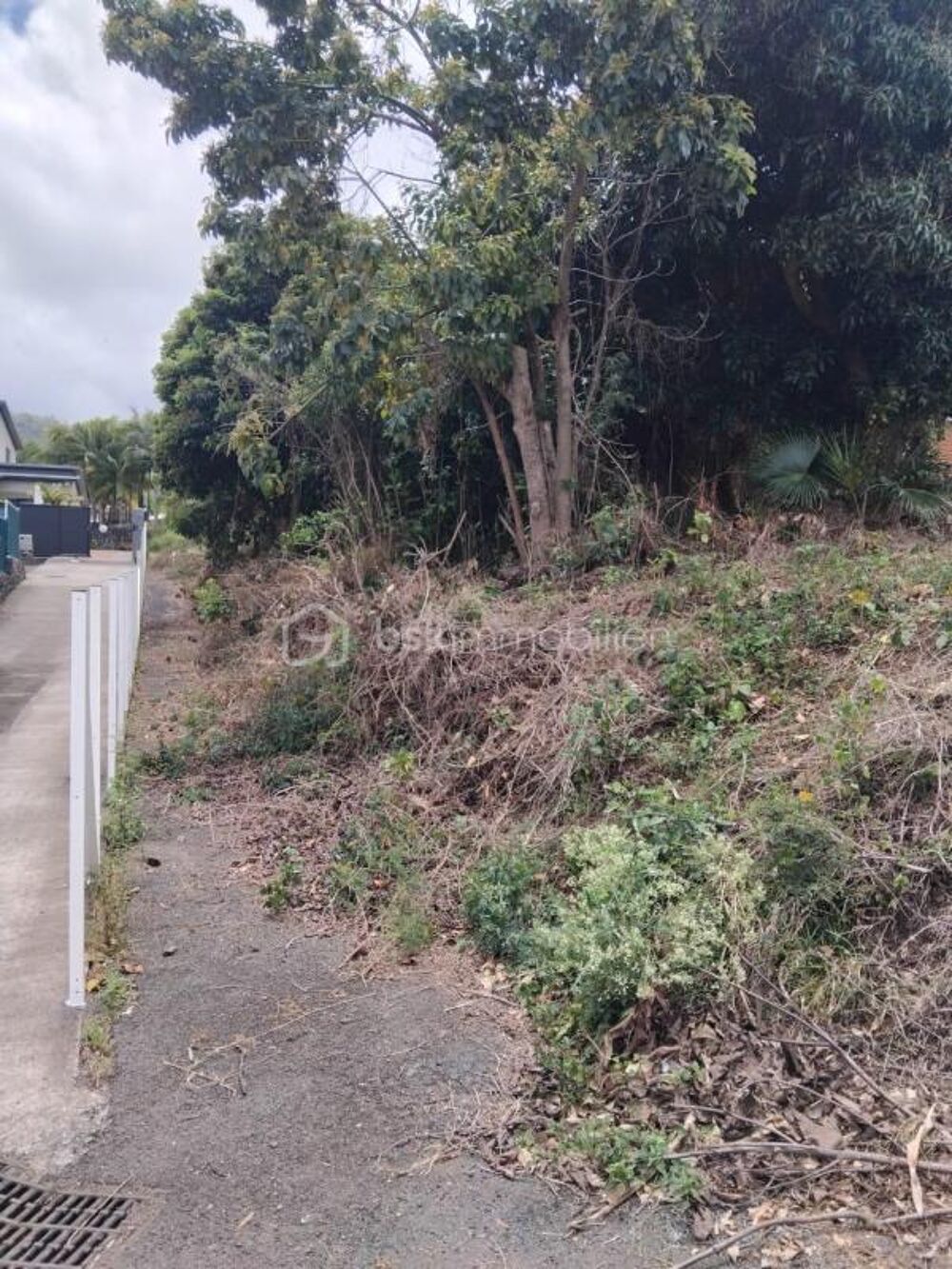 Vente Terrain Terrain Constructible de 1078 m² à l'Entre-Deux, La Réunion Entre deux