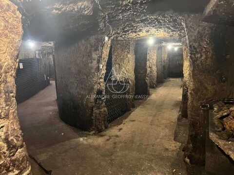   Rare opportunité… Vignoble en appellation Vouvray de 20 ha 