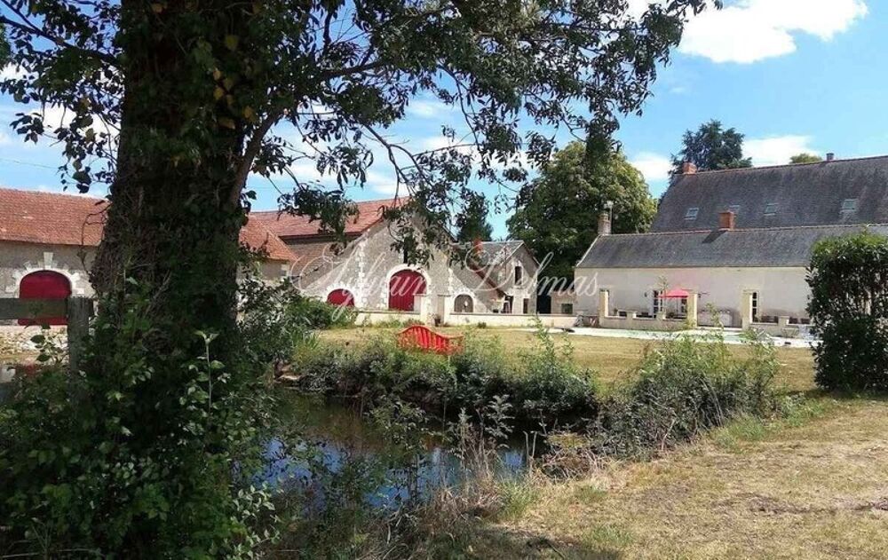 Vente Propriété/Château Propriete à vendre 11 pièces LANGEAIS (37) Langeais