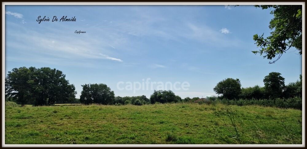 Vente Terrain Parcelle de Terrain à bâtir, à vendre, hors lotissement de 2 493,00 m² BEREZIAT (01) plat, calme, campagne Bereziat
