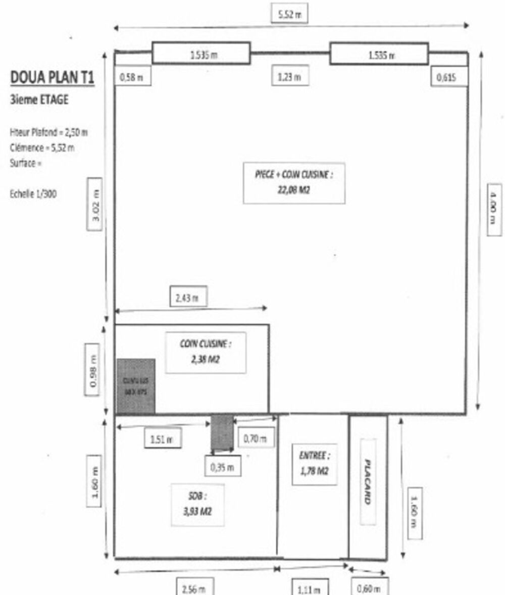 Vente Appartement VILLEURBANNE LA DOUA – STUDIO RENOVE ET LUMINEUX à 2 pas du campus - Libre 01/2027 Villeurbanne