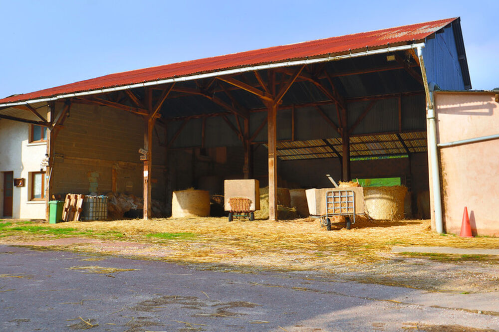 Vente Propri�t�/Ch�teau HARS dans Yonne 1 H 30 de Paris Saint denis sur ouanne