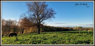  Ferme � vendre 6 pi�ces 145 m�