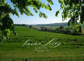  Maison  vendre 12 pices 400 m